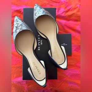 Coach Jameson lux flats python